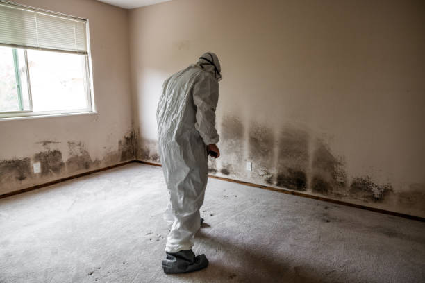 Mold Remediation for Vacation Homes in Felton, DE